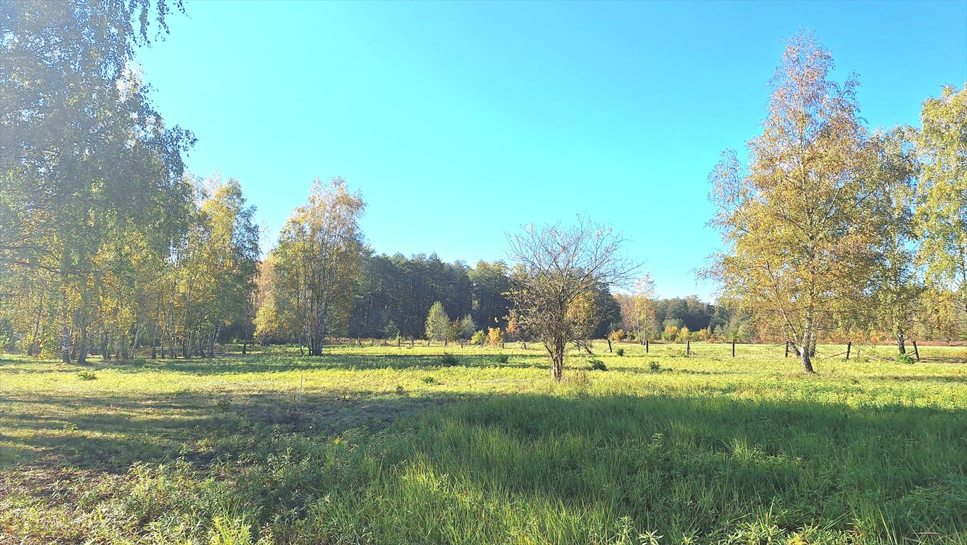 Działka budowlana na sprzedaż Łomianki, Dąbrowa, Prosta  1 005m2 Foto 6