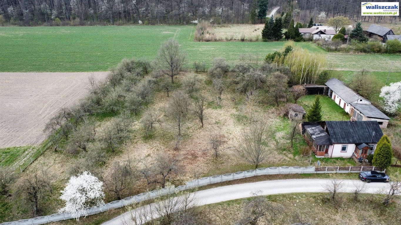 Urokliwa działka 5700 m² z domkiem i drzewami owocowymi Honoratów  5 700m2 Foto 1