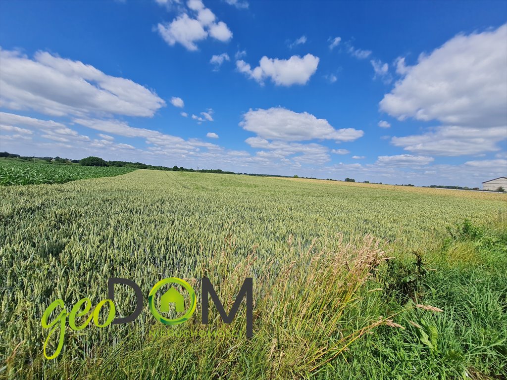 Działka budowlana na sprzedaż Garbów  2 300m2 Foto 2