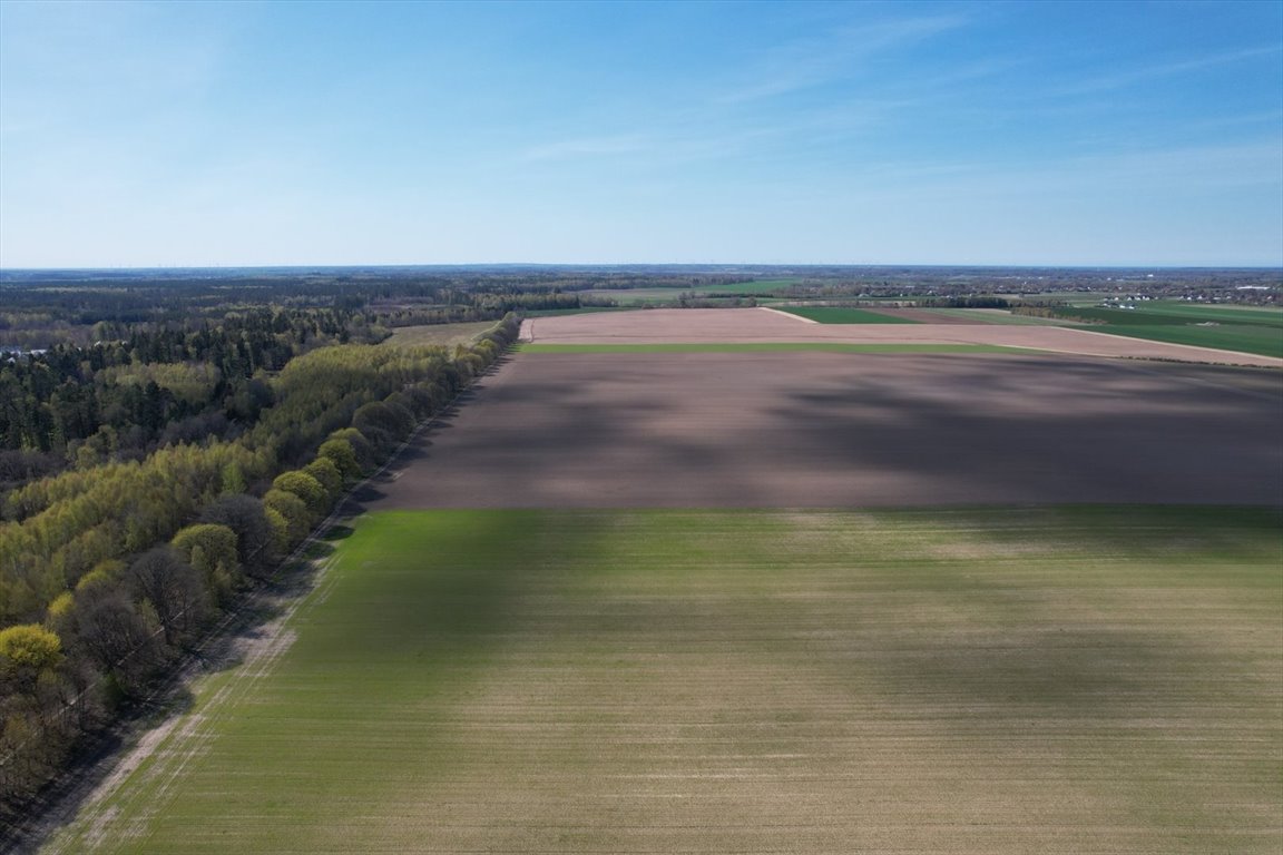 Działka budowlana na sprzedaż Słupsk, Szpilewskiego  3 328m2 Foto 5