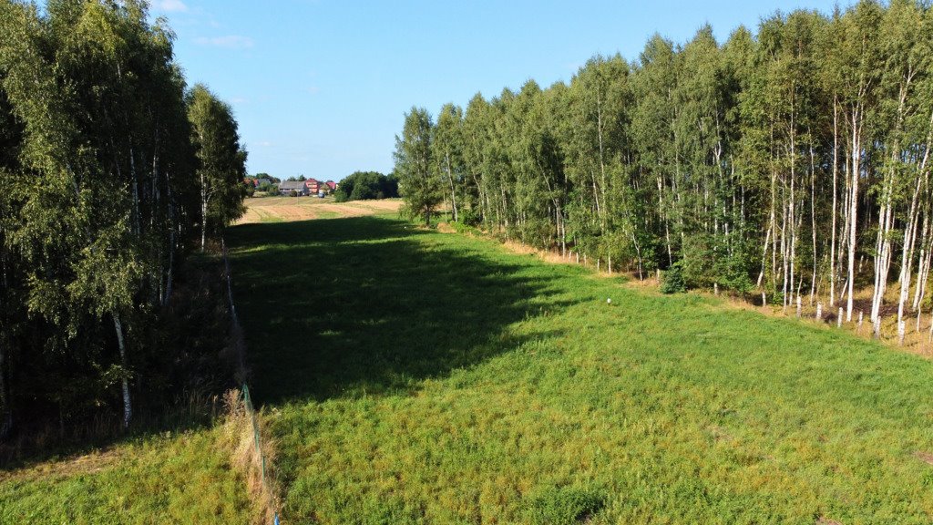 Działka budowlana na sprzedaż Sędziszów Małopolski, Księżomost  1 607m2 Foto 4