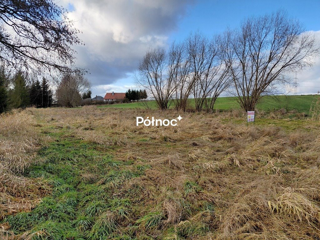 Działka 2000 m2 w Warta Bolesławiecka – inwestycja i spokój Warta Bolesławiecka  2 000m2 Foto 1