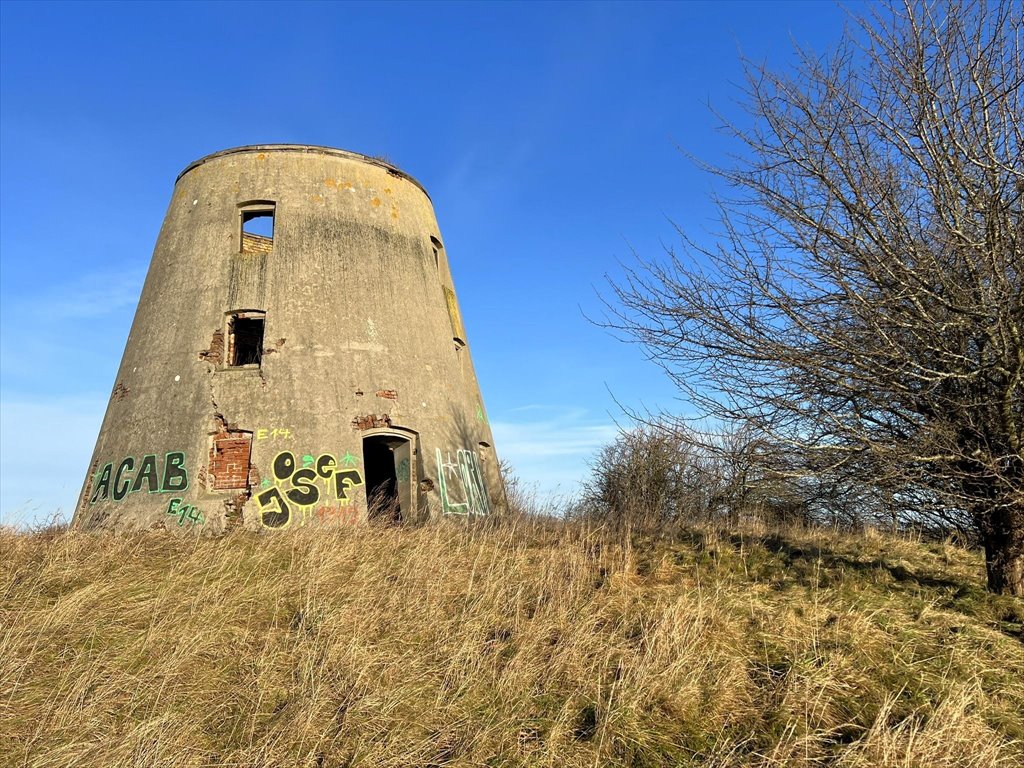 Na sprzedaż działka 8 100 m² z warunkami zabudowy i murowanym budynkiem Czernin  8 100m2 Foto 1