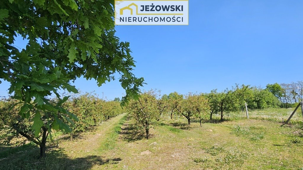 Działka budowlana na sprzedaż Kazimierz Dolny, Jeziorszczyzna  5 144m2 Foto 2