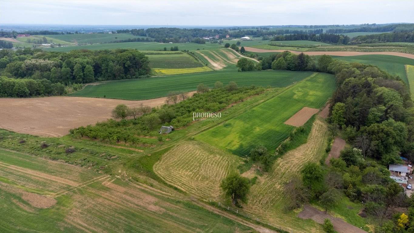 Działka inna na sprzedaż Głuchów Górny, Malinowa  1 045m2 Foto 8