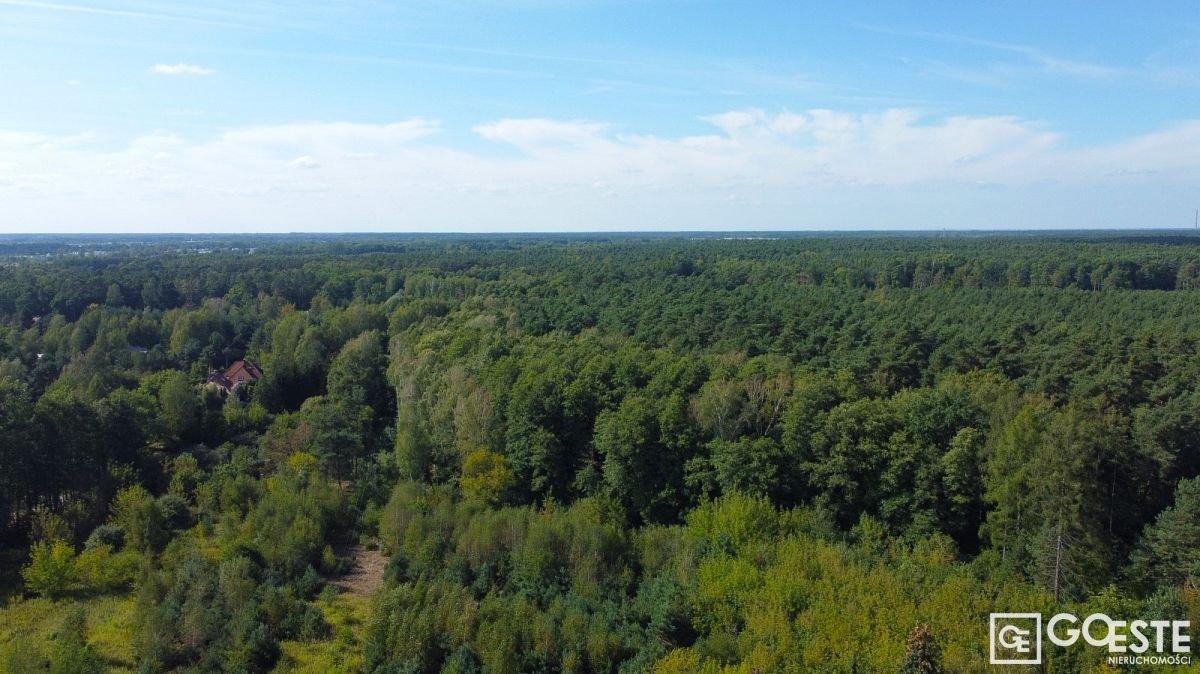 Działka inna na sprzedaż Łazy, Podleśna  7 100m2 Foto 9