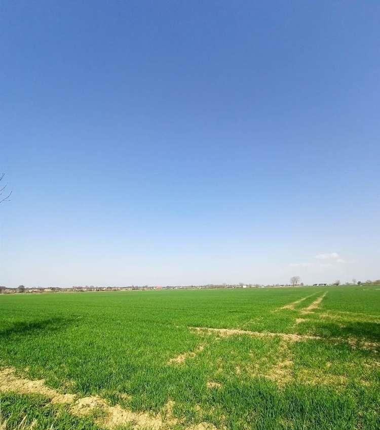 Działka rolna na sprzedaż Sztutowo  3 000m2 Foto 6