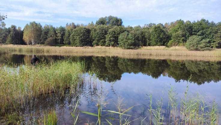 Działka inna na sprzedaż Szprotawa, Sieraków  68 701m2 Foto 4