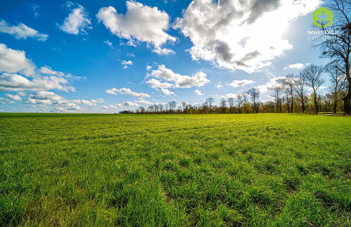 Działka budowlana na sprzedaż Malbork, Ostatnie wolne działki  100m od jeziora  1 270m2 Foto 6