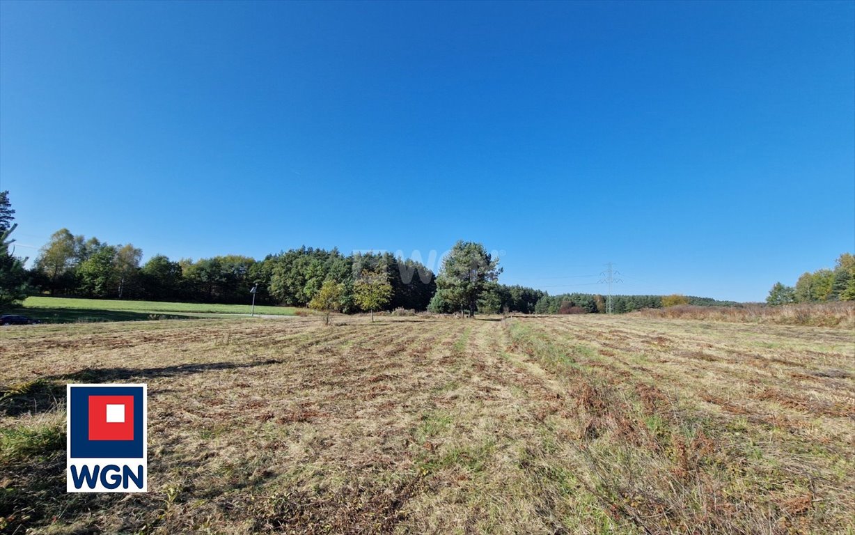 Działka budowlana na sprzedaż Luszowice, Okradziejówka, Mokra  1 460m2 Foto 7