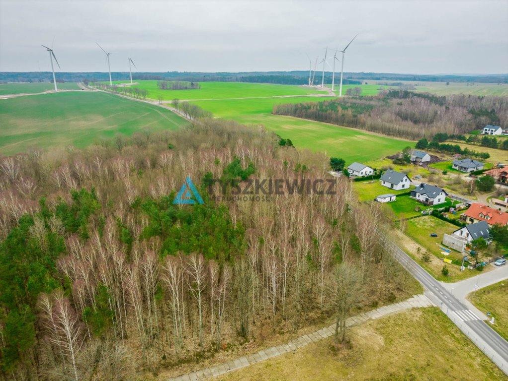 Działka budowlana na sprzedaż Głobino  6 400m2 Foto 11