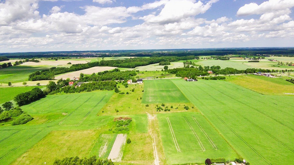 Działka budowlana na sprzedaż Borcz, Spokojna  1 292m2 Foto 6