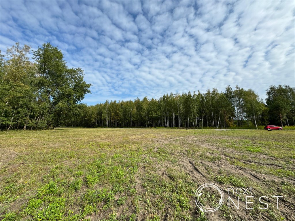 Działka budowlana na sprzedaż Grochowa  1 569m2 Foto 5