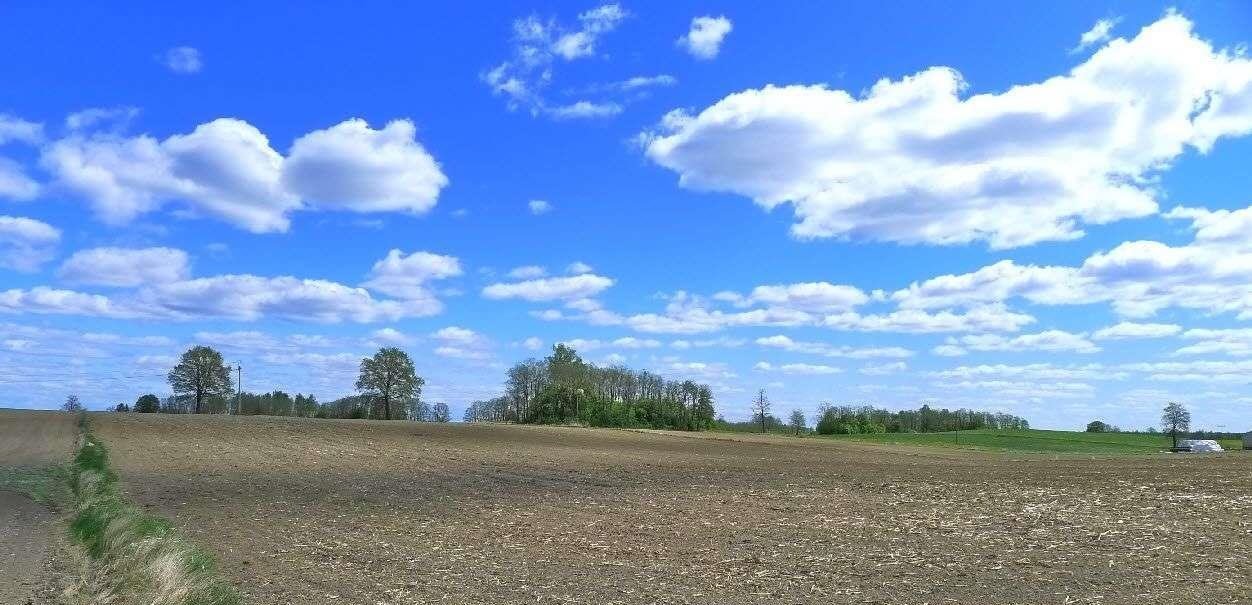 Działka rolna na sprzedaż Raczki  86 000m2 Foto 7