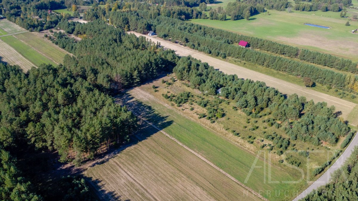 Działka rekreacyjna na sprzedaż Michałowo  9 500m2 Foto 6