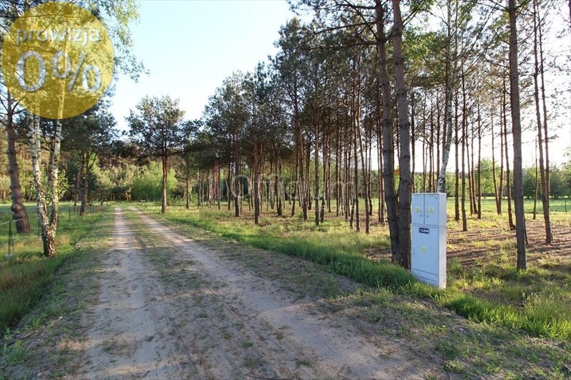 Działka budowlana na sprzedaż Kamieńczyk 1 000m2 Foto 1 Działka budowlana na sprzedaż Kamieńczyk 1 000m2 Foto 1