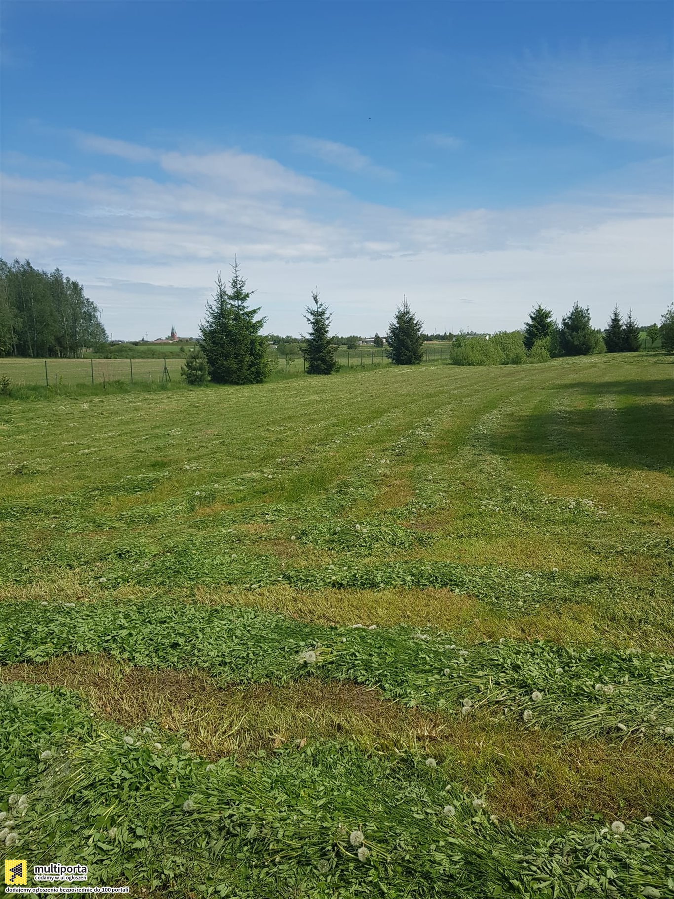 Działka inna na sprzedaż Brusy-Jaglie  3 074m2 Foto 4