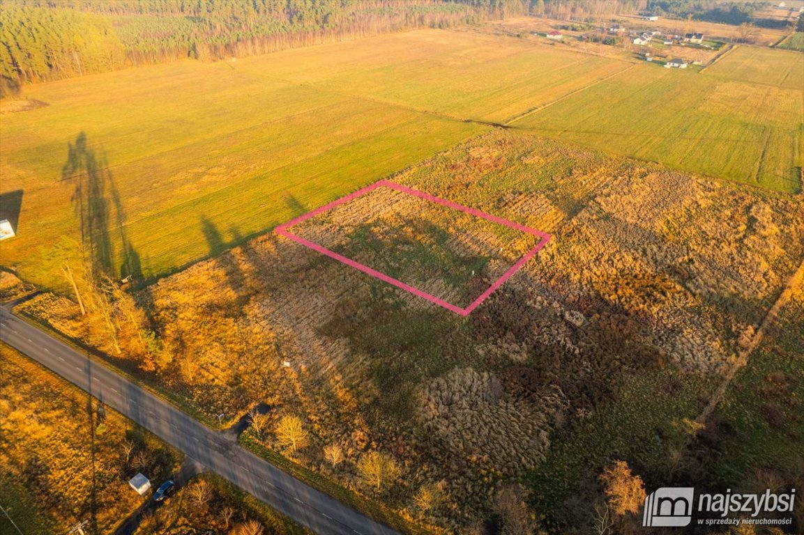 Działka inwestycyjna 4019 m2 przy S3, zabudowa usługowa Miękowo  4 019m2 Foto 1