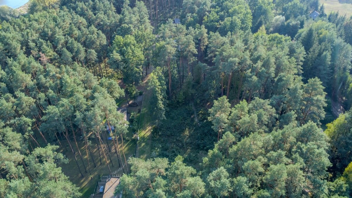 Działka rekreacyjna na sprzedaż Brańszczyk, Brańszczyk-Nakieł, Gajowa  1 004m2 Foto 8