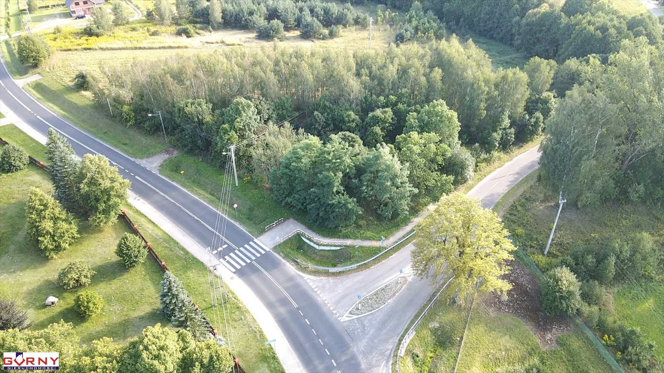 Zdjęcie 5