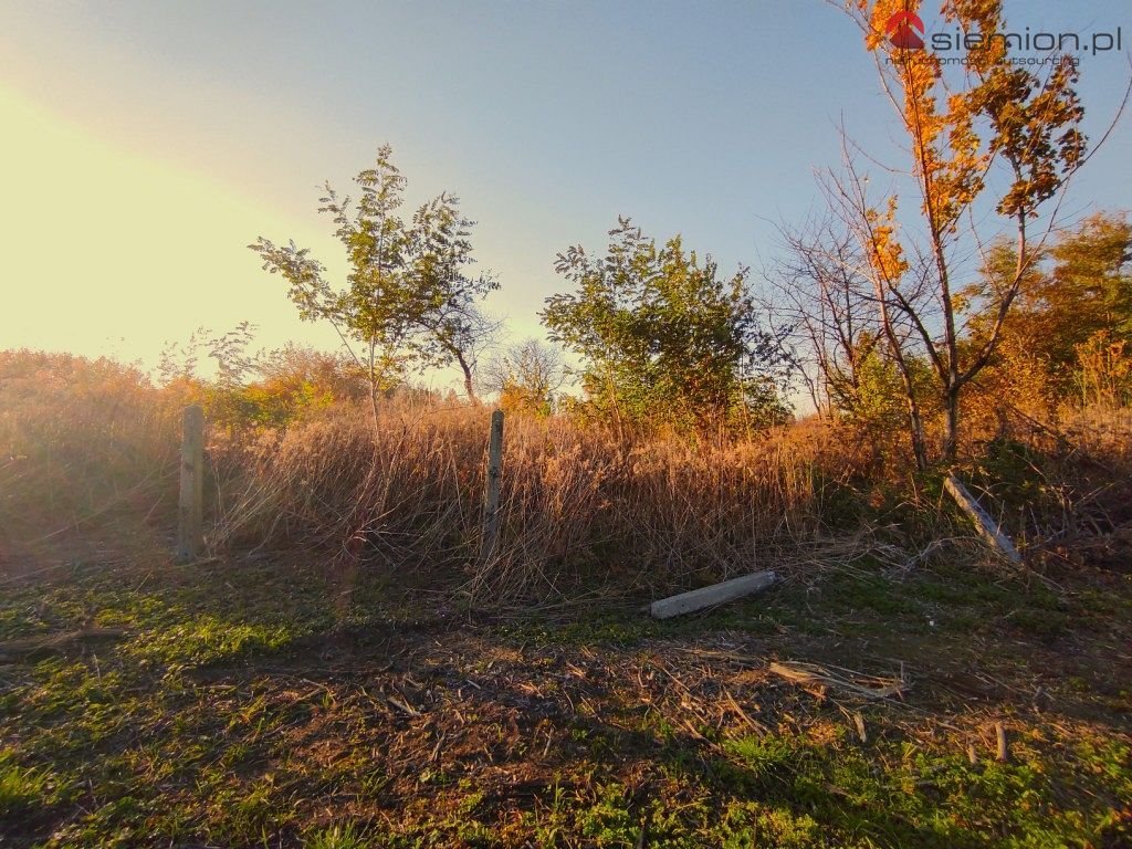 Działka inna na sprzedaż Wojkowice  1 191m2 Foto 7