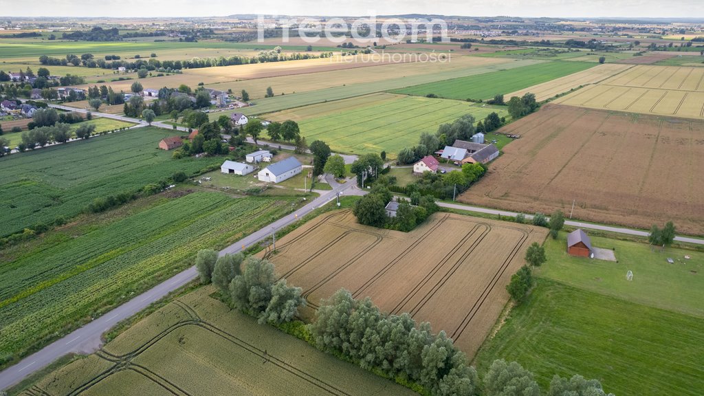 Działka budowlana na sprzedaż Ostrowite, Rzepakowa  2 449m2 Foto 13