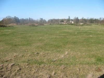 Działka inna na sprzedaż Łeba - Szczenurze, ŁEBA - SZCZENURZE, Szczenurze 5 Km Od Łeby 1 504m2 Foto 1 Działka inna na sprzedaż Łeba - Szczenurze, ŁEBA - SZCZENURZE, Szczenurze 5 Km Od Łeby 1 504m2 Foto 1