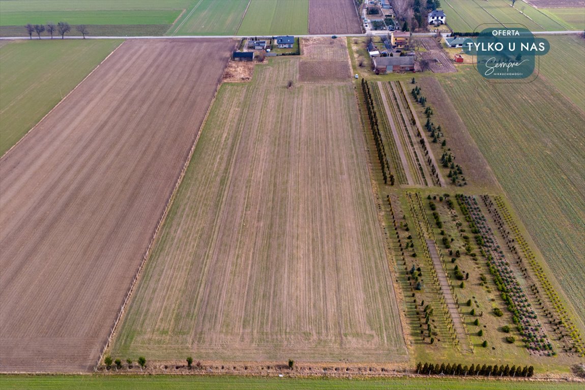 Działka budowlana na sprzedaż Paprotnia  1 000m2 Foto 6