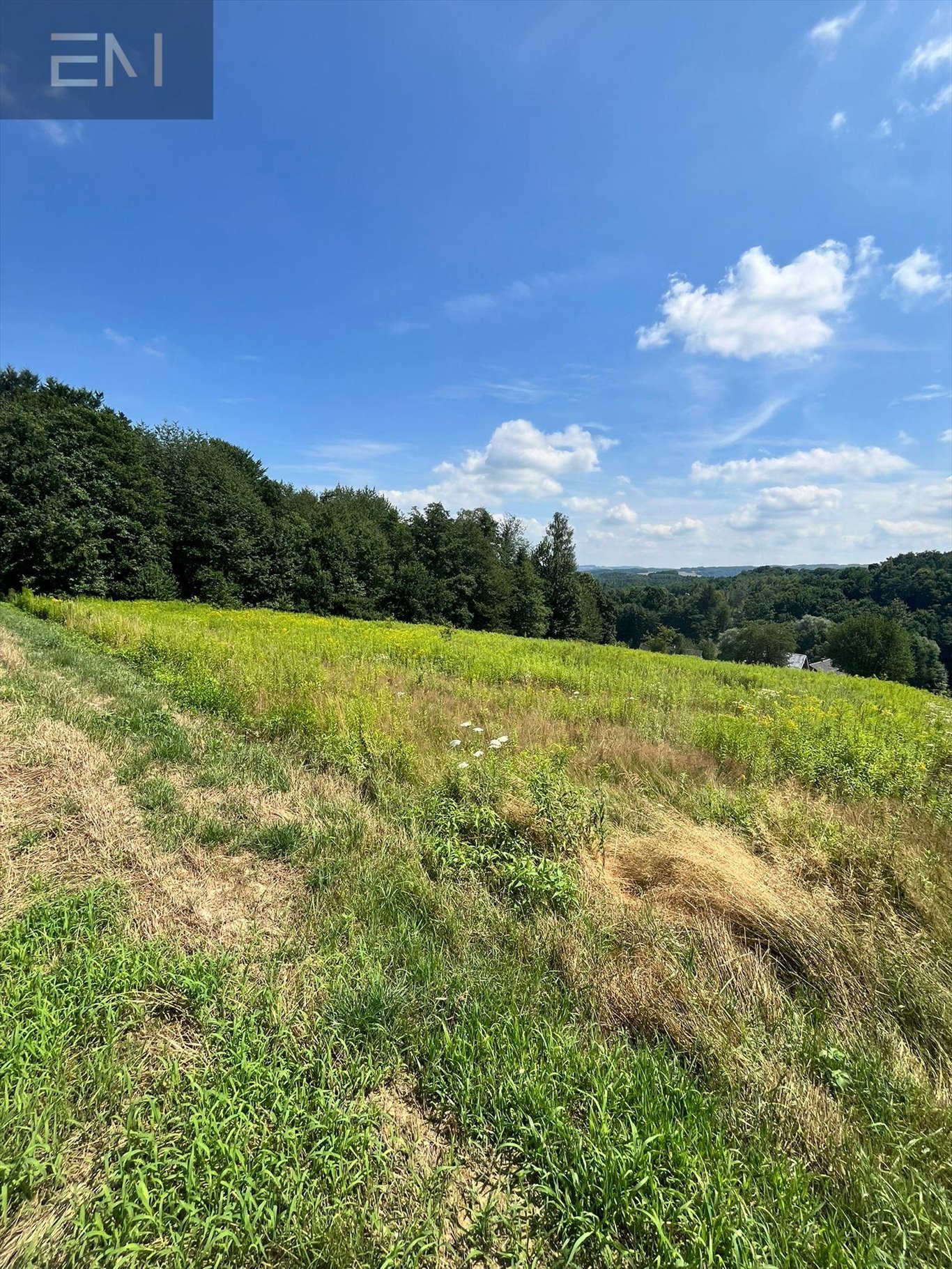 Działka rekreacyjna na sprzedaż Nowa Wieś  4 400m2 Foto 6