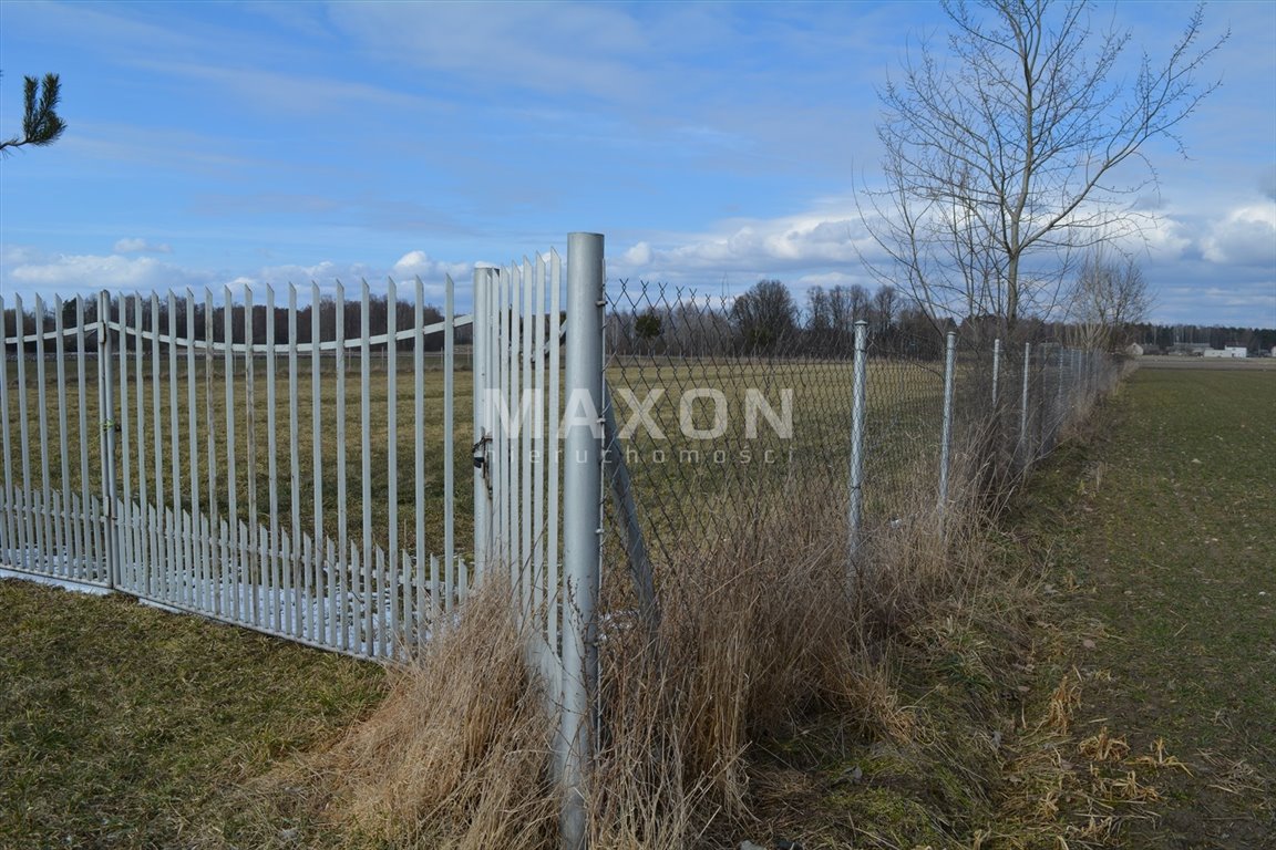 Działka siedliskowa na sprzedaż Ruchna  6 000m2 Foto 4