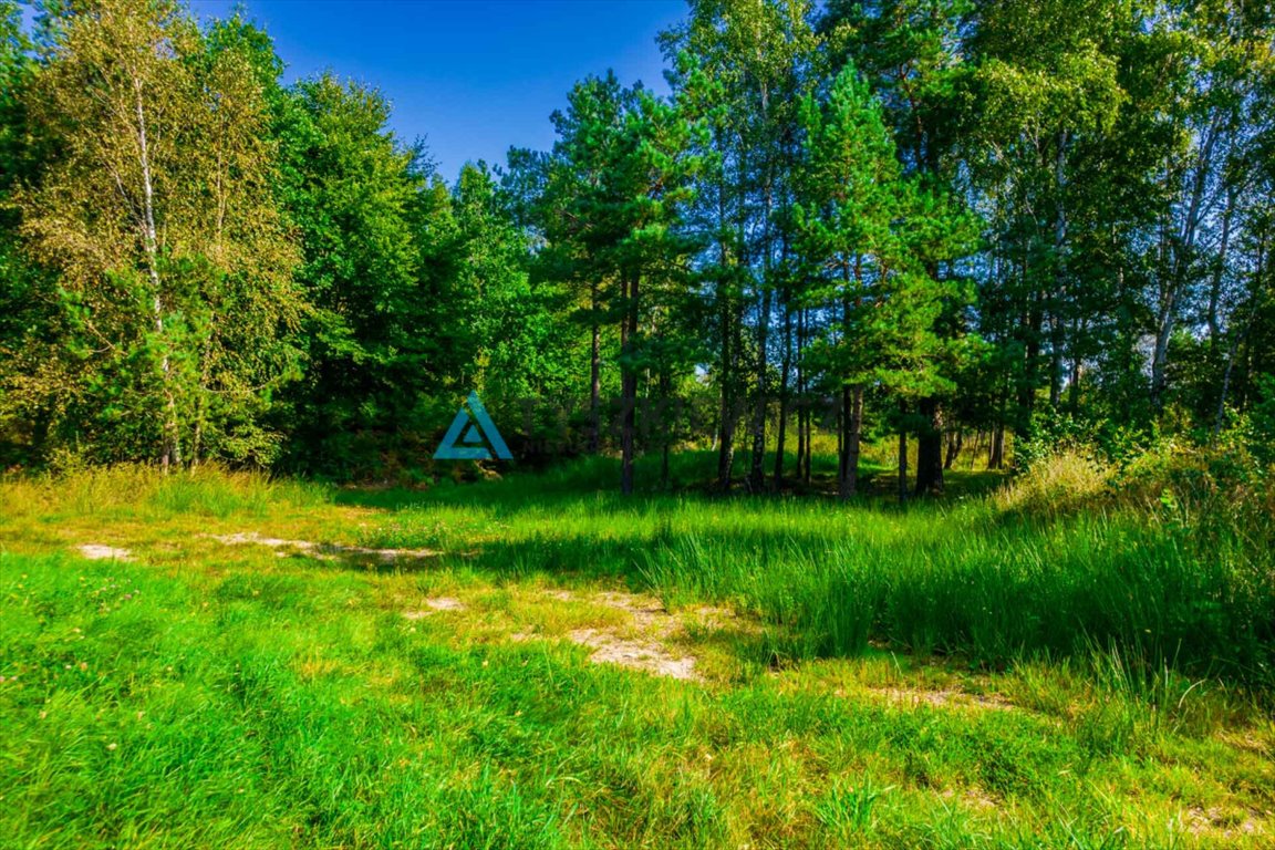 Działka leśna na sprzedaż Staniszewo  7 300m2 Foto 3