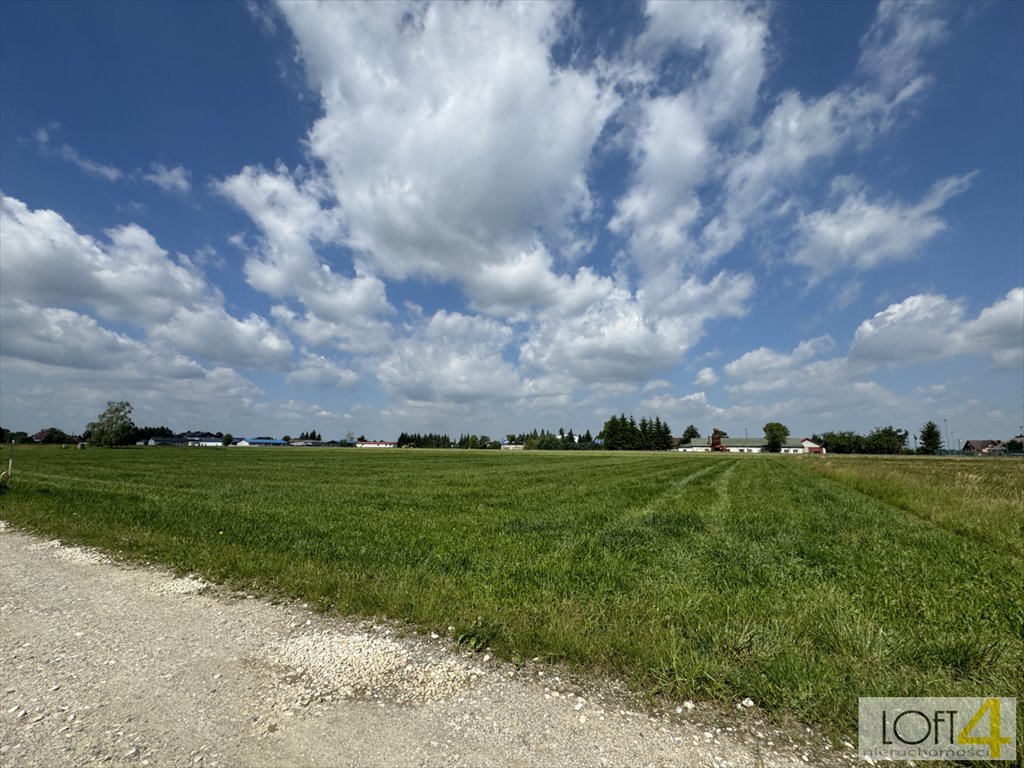 Działka budowlana na sprzedaż Borzęcin  2 600m2 Foto 9