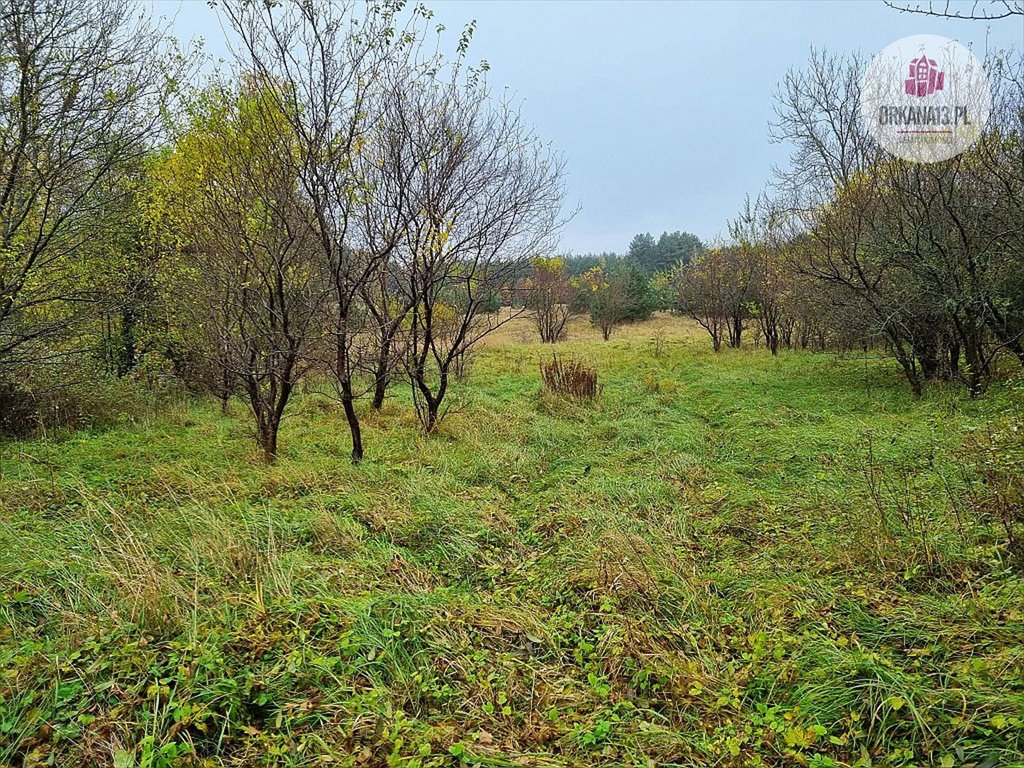 Działka rolna na sprzedaż Stara Kaletka, Stara Kaletka  5 207m2 Foto 10