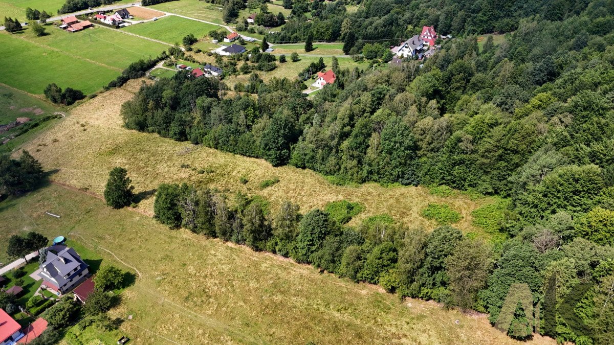 Działka budowlana na sprzedaż Maciejowa  1 000m2 Foto 6