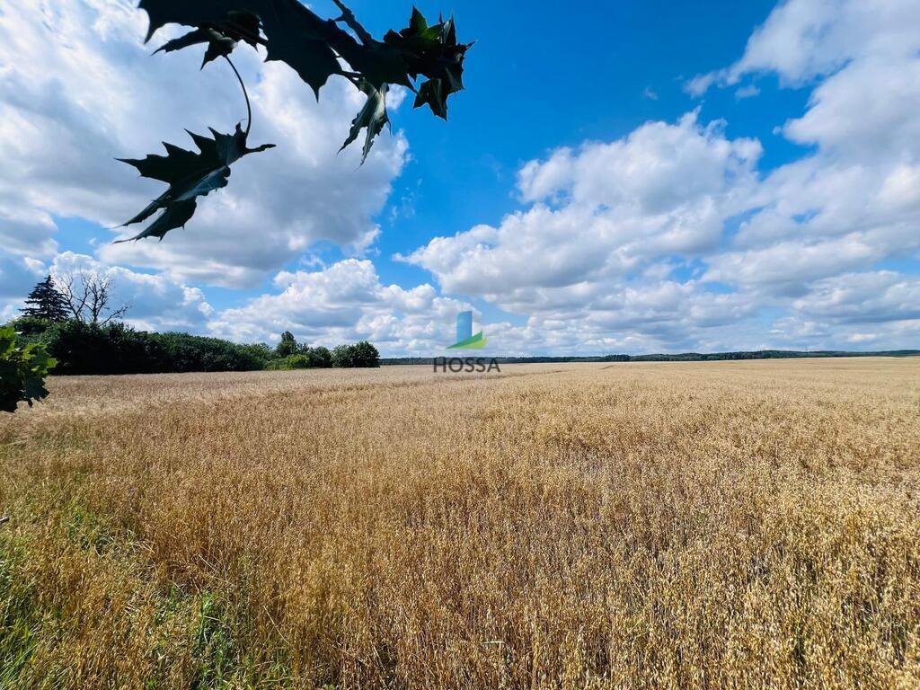 Działka budowlana na sprzedaż Radomin  15 898m2 Foto 2