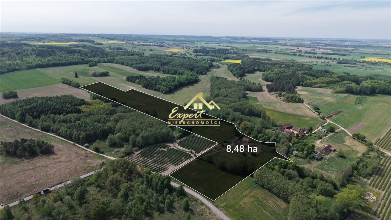 Zapraszam do obejrzenia działki 8,48 ha z domem i budynkami w Rudnie Rudno  84 800m2 Foto 1