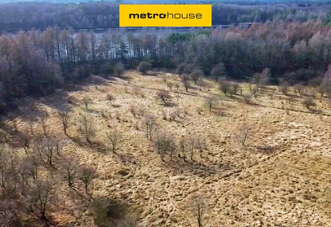 Działka inwestycyjna 2,9 ha nad jeziorem w Czarnogłowach Czarnogłowy, Miła  29 000m2 Foto 1