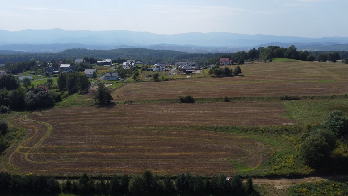 Działka budowlana na sprzedaż Dziwiszów  1 425m2 Foto 2