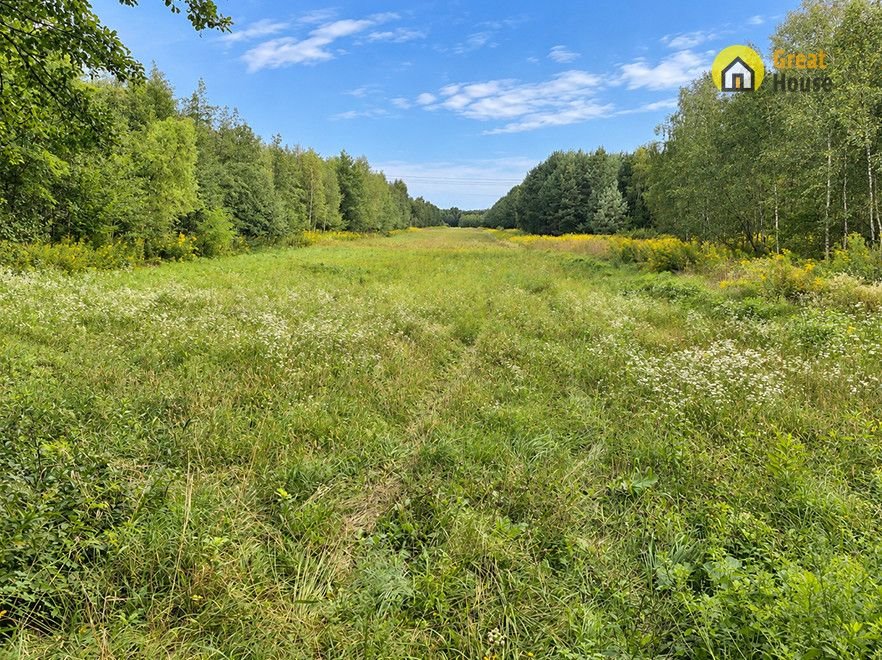 Działki rolne 2,19 ha w Szczekach - pod uprawę i nasadzenia Szczeka  21 900m2 Foto 1