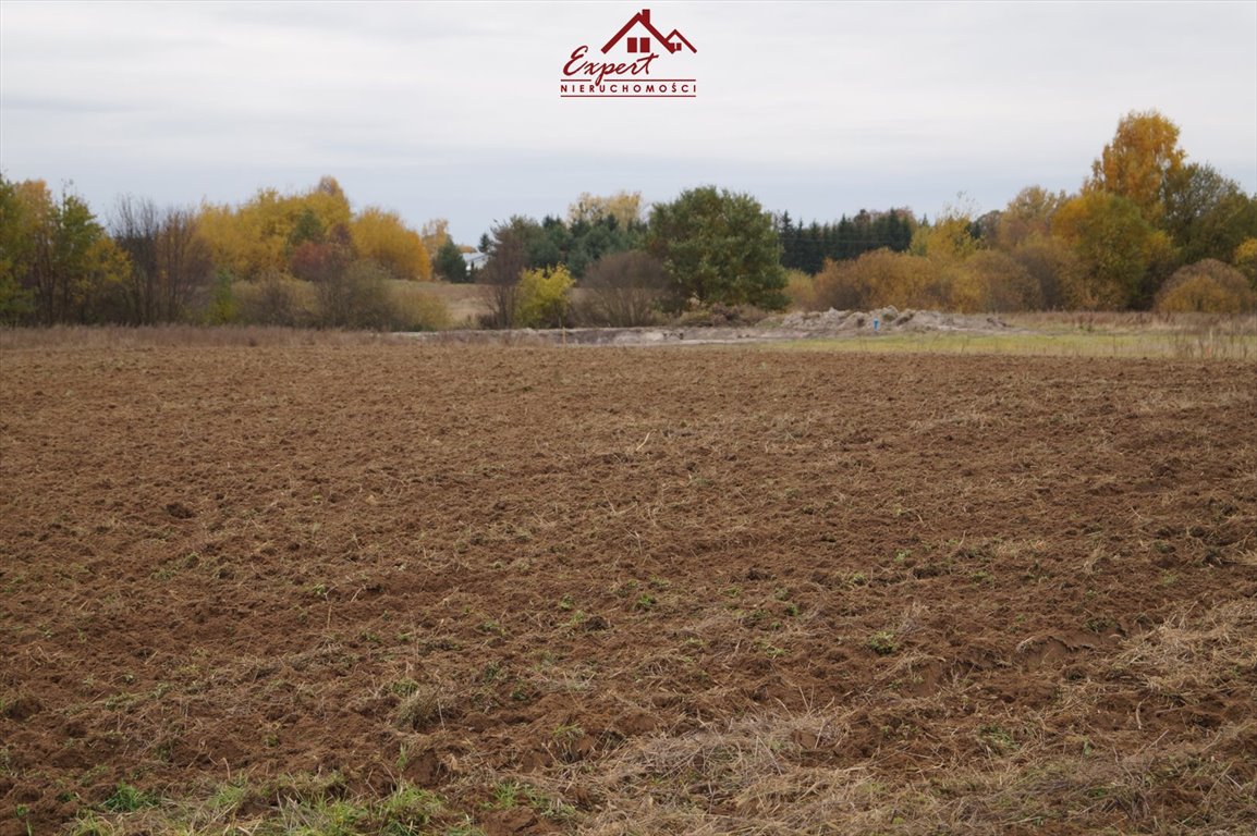 Działka budowlana na sprzedaż Rudzienice  1 233m2 Foto 7