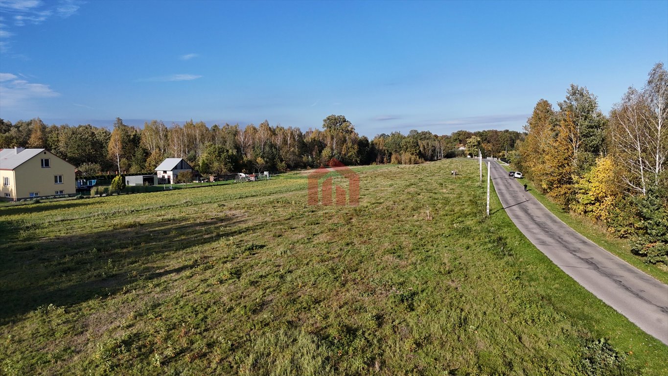 Działka budowlana na sprzedaż Korzeniów  845m2 Foto 8