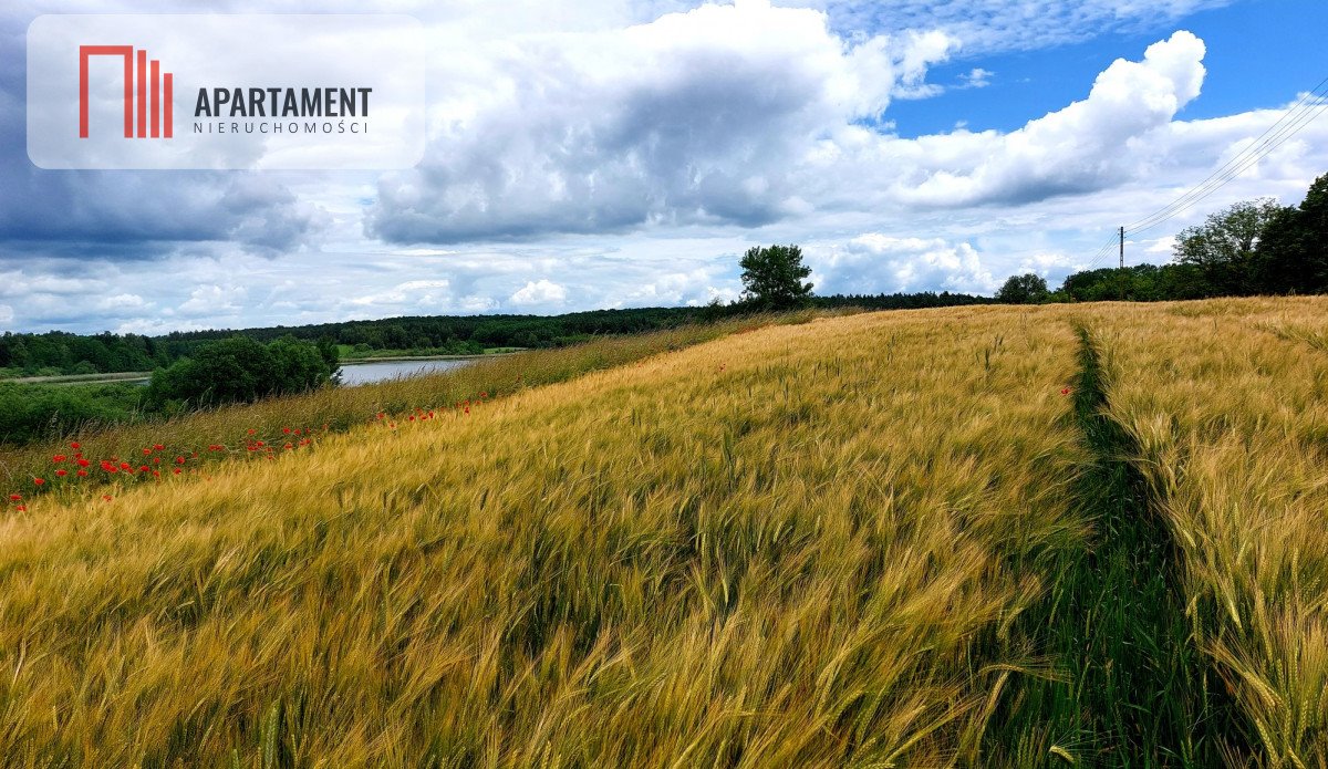 Działka budowlana na sprzedaż Jeleń  5 141m2 Foto 5