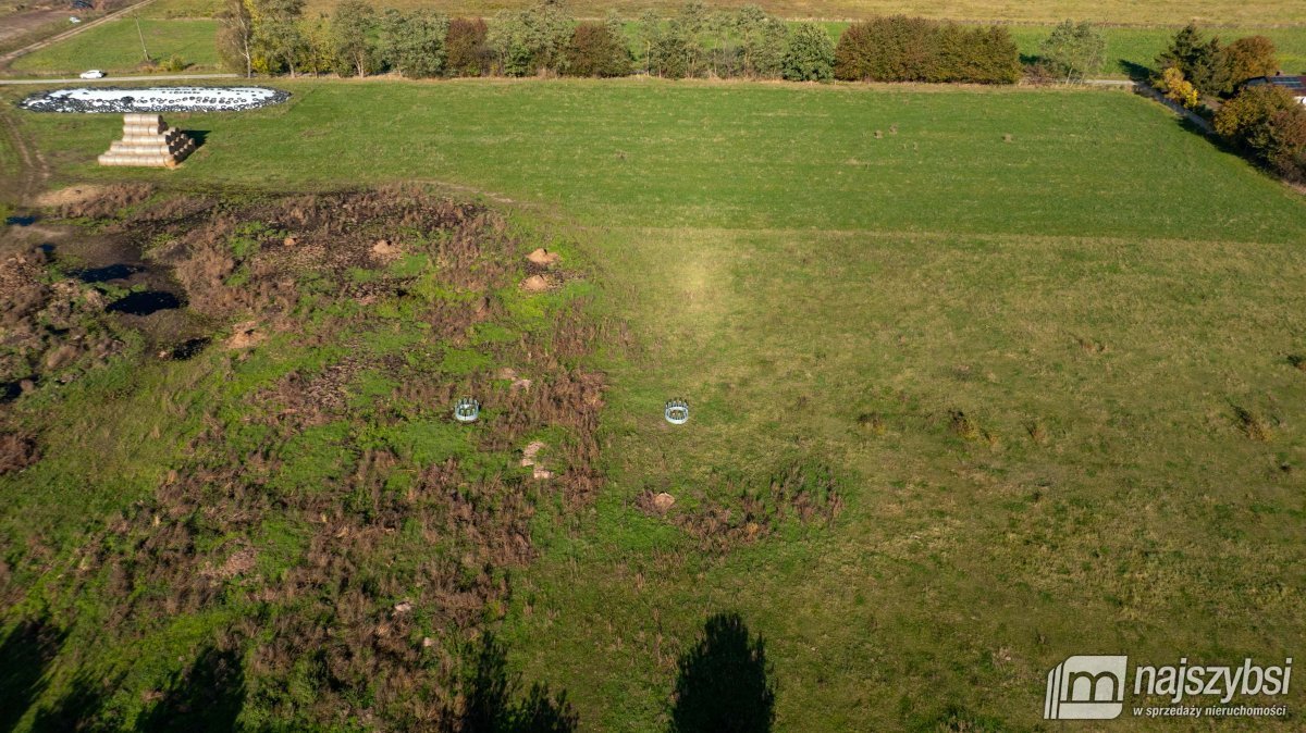 Działka rolna na sprzedaż Sarbia  6 500m2 Foto 9