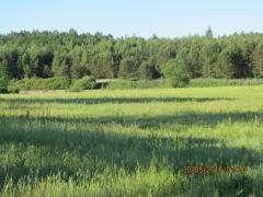 Działka inwestycyjna na sprzedaż Krępkowice  10 200m2 Foto 7