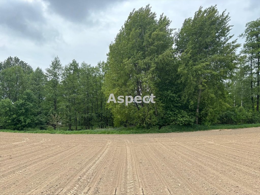 Działka budowlana na sprzedaż Studzionka  1 752m2 Foto 1