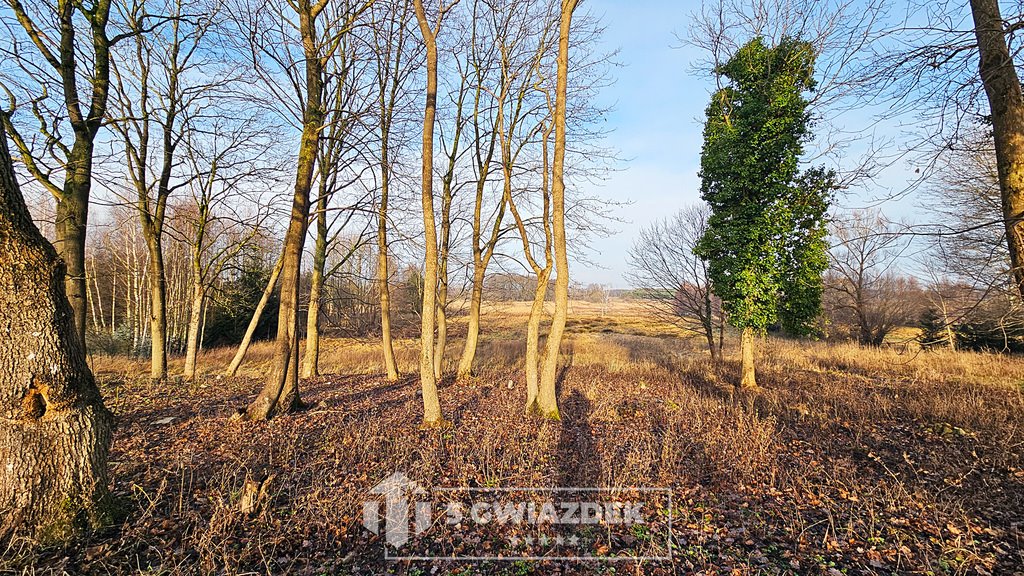 Działka budowlana na sprzedaż Gwda Mała  9 667m2 Foto 19