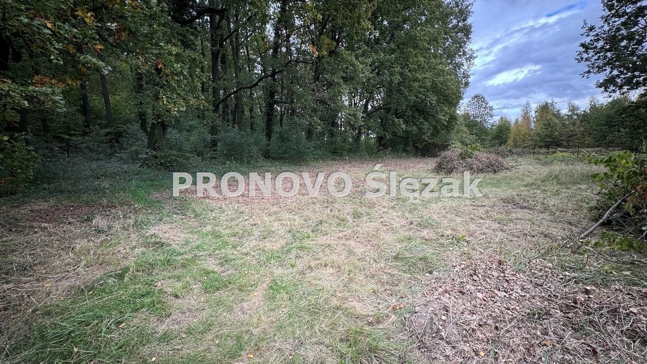 Działka inna na sprzedaż Oborniki Ślaskie, Siemianice  1 174m2 Foto 6