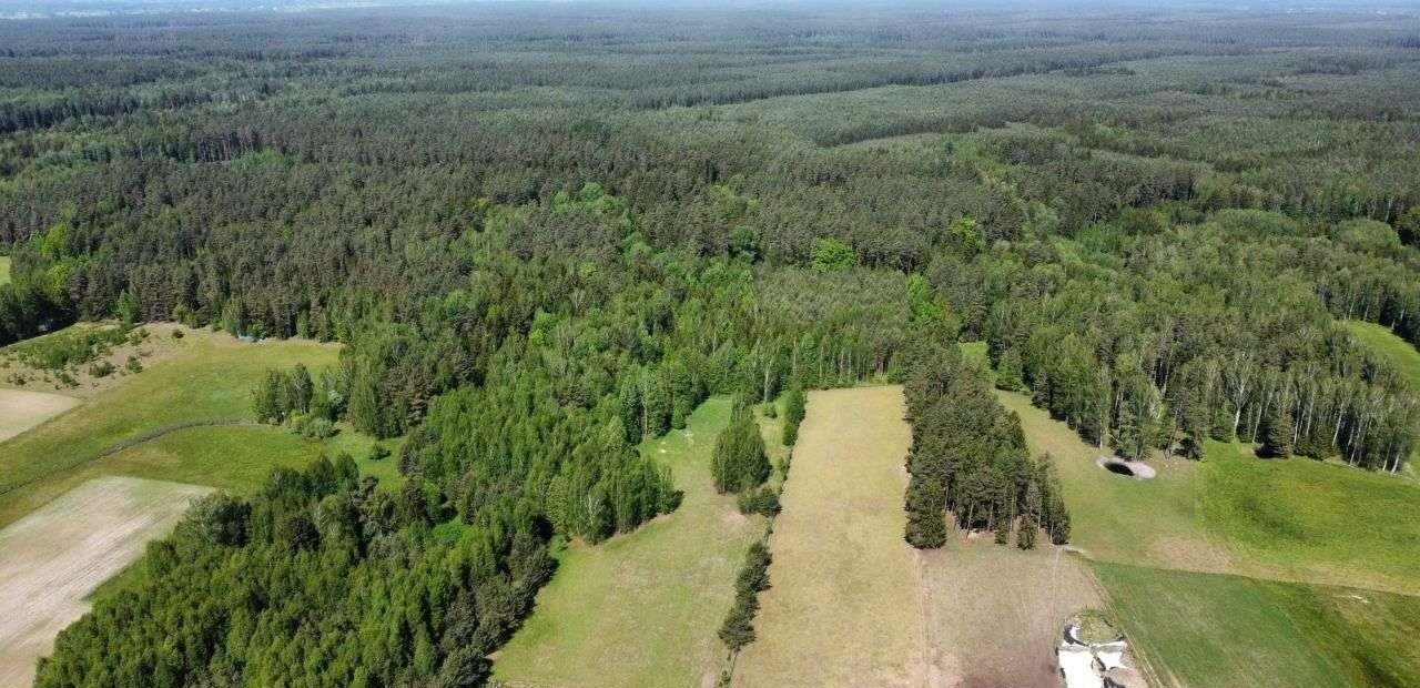 Działka rolna na sprzedaż Walne  3 500m2 Foto 6