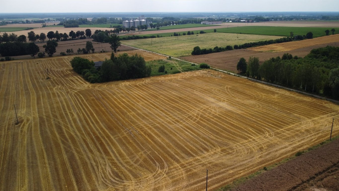 Działka inna na sprzedaż Ujazdówek  17 640m2 Foto 4