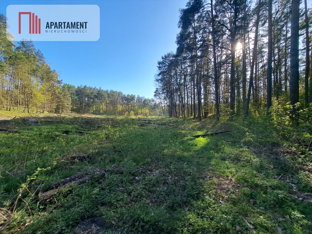 Działka gospodarstwo rolne na sprzedaż Zawada  6 600m2 Foto 3